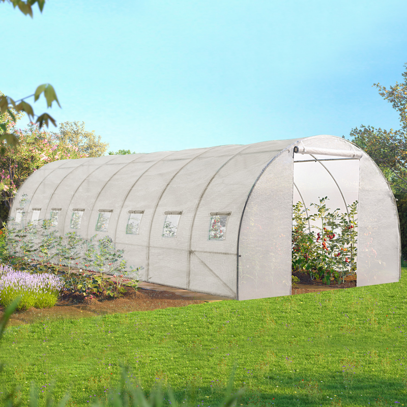 Serre Tunnel de Jardin 4 Saisons 24M² 8x3M Blanche Gamme Maraîchère - VERA