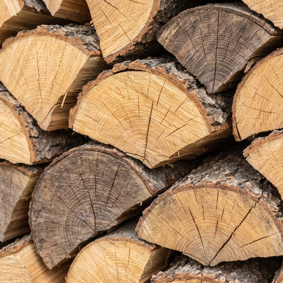 Bûches de feuillus durs secs, coupées et fendues